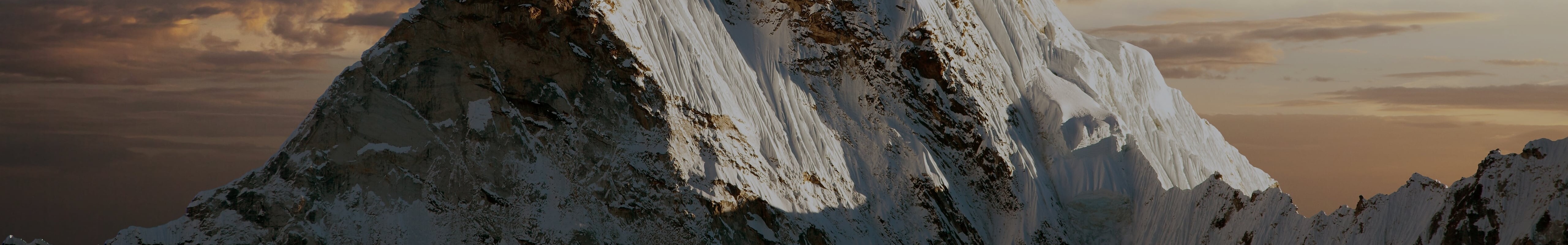 Privacy Policy OpenGate Capital