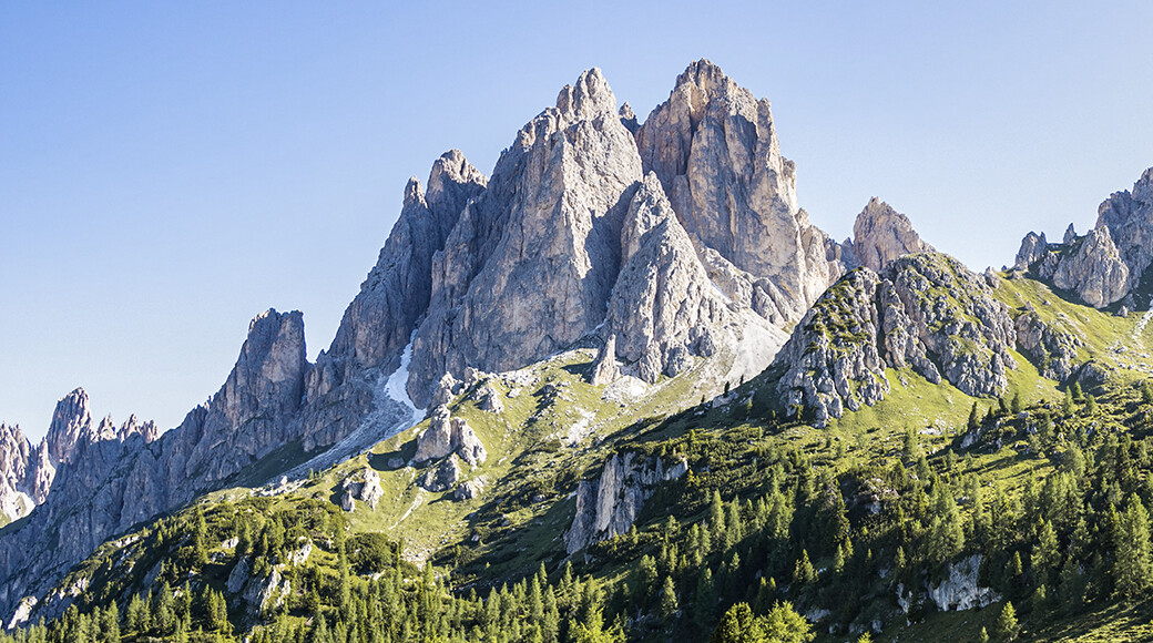 Recent Activity OpenGate Capital